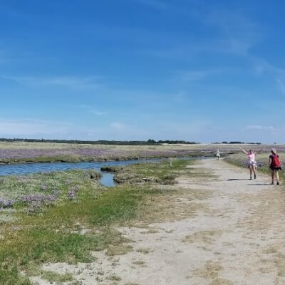 Decubber, Kristof Kristof Decubber